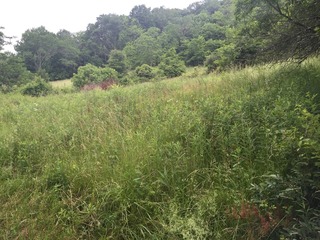 #1: View of 39 North 85 West, in foreground, looking southwest.