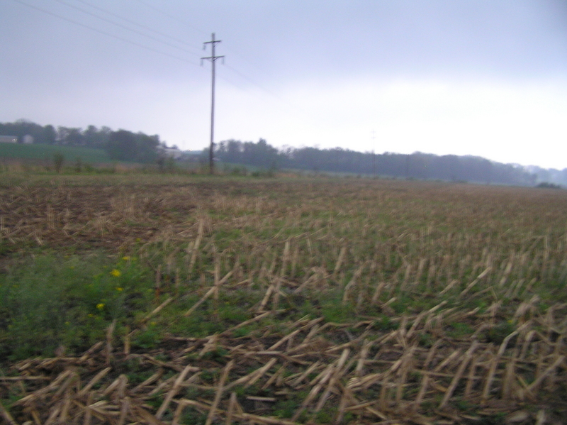 View to the west from the confluence.