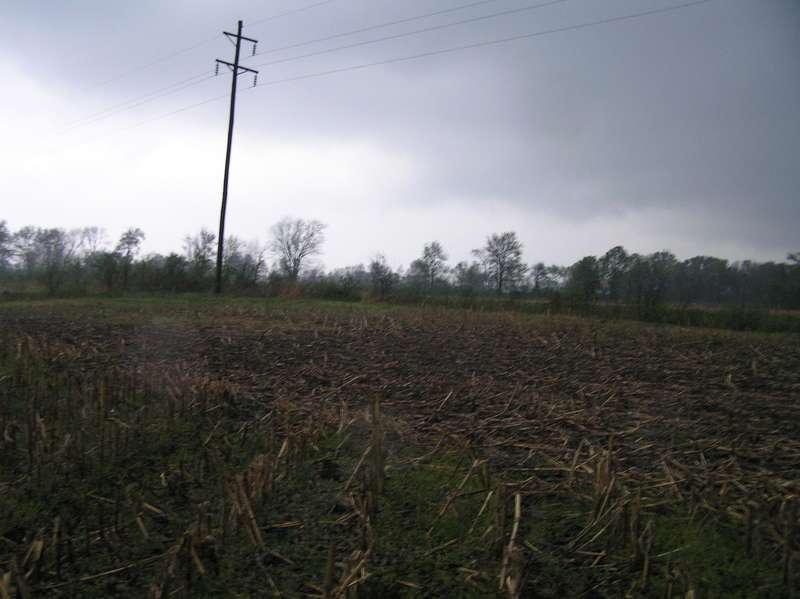 View to the north from the confluence.