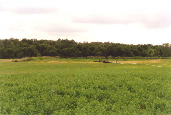 looking west from the confluence