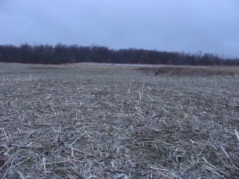 Looking over barely frozen ground to the west of 40N 85W