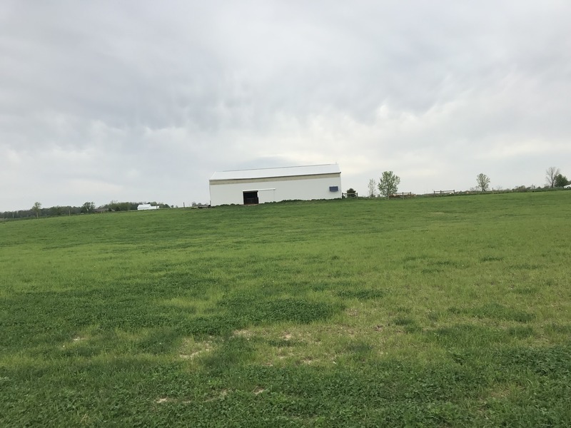 View to the north from the confluence point. 