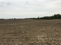 #6: View to the south from the confluence point. 