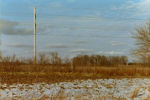 Clouds over a cornfield