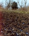 #5: Furrows