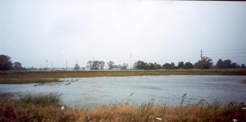 July 25 - looking west at the confluence