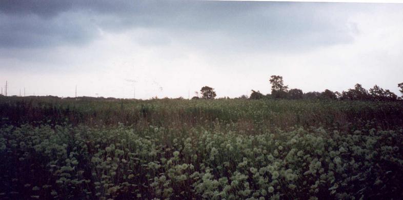 View north from the site