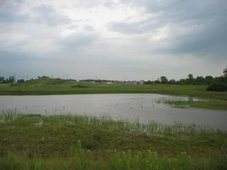 #1: Looking West at the CP, which is in the water