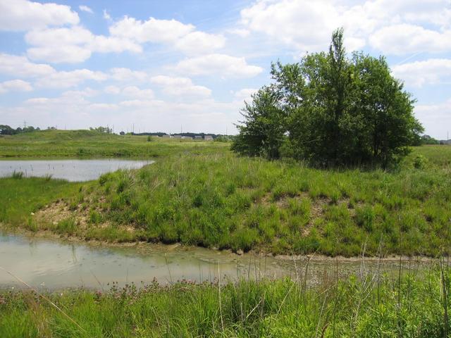 General view of the confluence -- I think it's just beyond that tree.  (This is also the view "East")