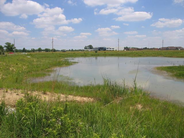 Looking North from the confluence (at the road where we parked)