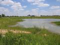 #2: Looking North from the confluence (at the road where we parked)