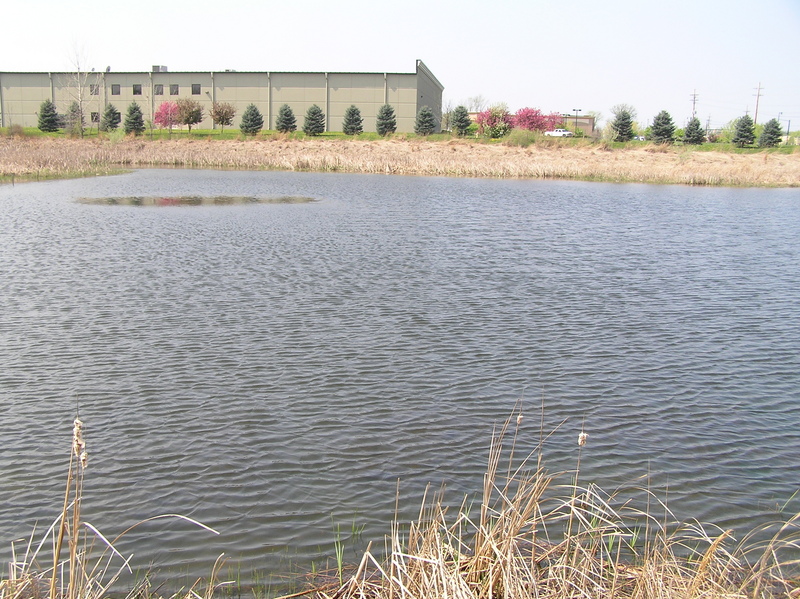 View of the confluence from the east side of the lake.  The confluence lies in the center of the photo on the far side of the lake, near the marsh. 