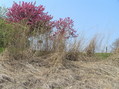 #6: View to the west from the confluence.