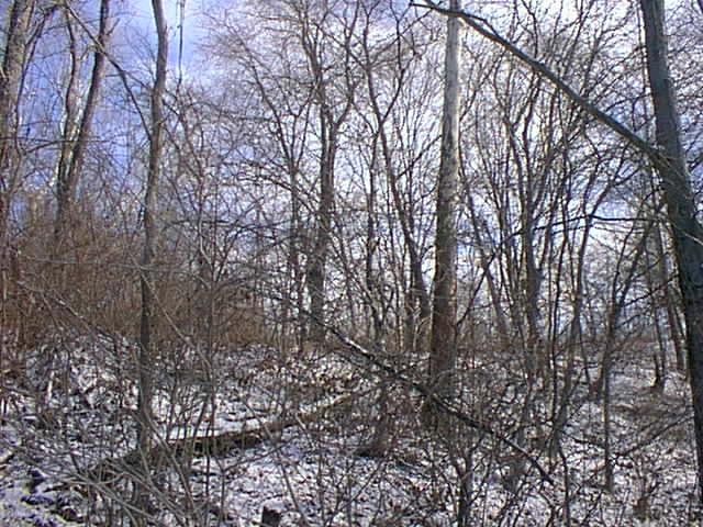 Another view in the direction of the confluence