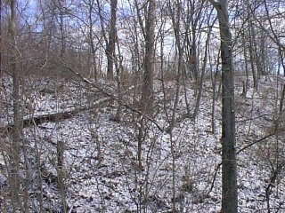 #1: Looking east from the road and up the slope to where the confluence lies