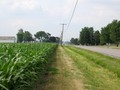 #2: View north along Minnich Road.