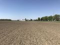 #4: View to the north from the confluence point. 