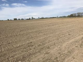 #1: Confluence of 41 North 86 West, in foreground, looking northeast. 