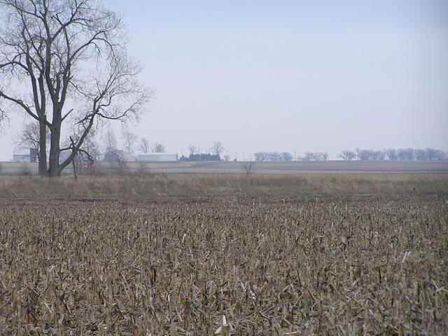 View to the east from the confluence.