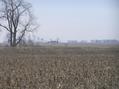 #7: View to the east from the confluence.