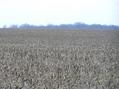 #9: View to the west from the confluence.