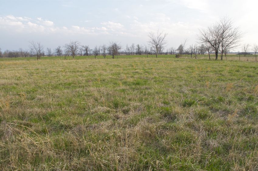 View South (towards Oklahoma, which lies just behind the fence_