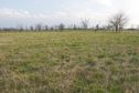 #4: View South (towards Oklahoma, which lies just behind the fence_