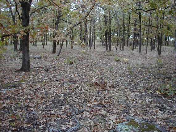 West - about 40 yards from the grazing acreage in the narrative