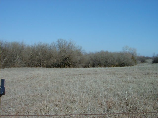 Looking North to the confluence, within the grove of trees