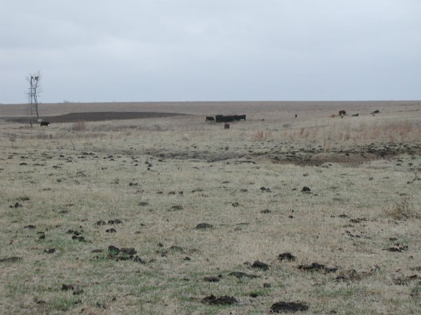 Area of the confluence