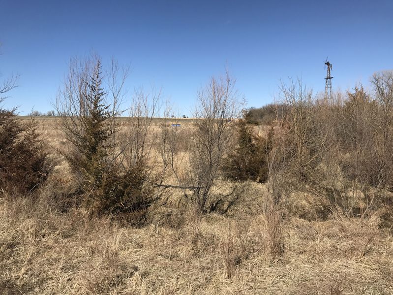 The confluence of 37 North 97 West:  View to the north, into Kansas.