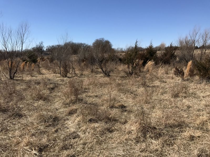 The confluence of 37 North 97 West:  View to the west.