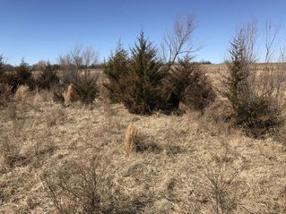 #1: The confluence of 37 North 97 West, in the foreground, looking northwest. 