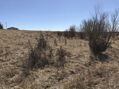 #4: The confluence of 37 North 97 West:  View to the south, into Oklahoma.