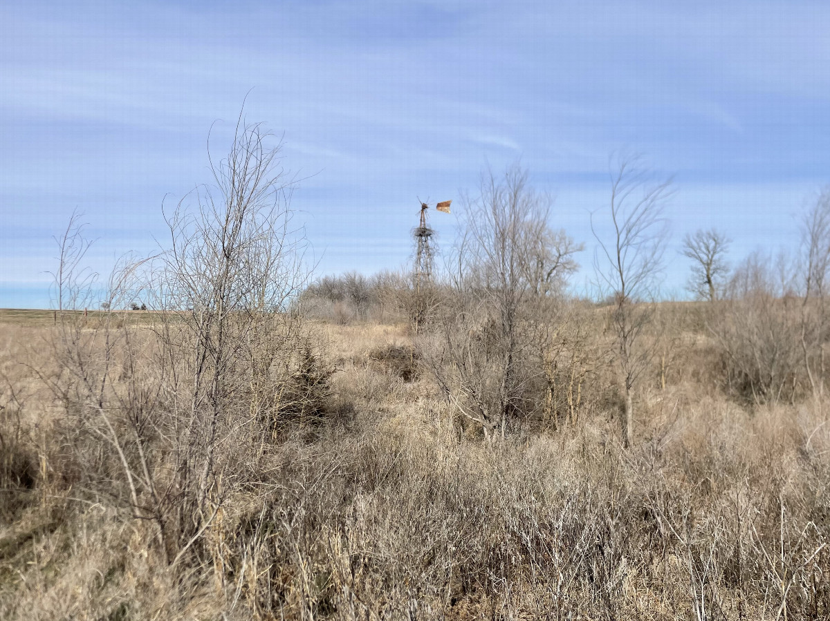 View to the north, confluence in the foreground