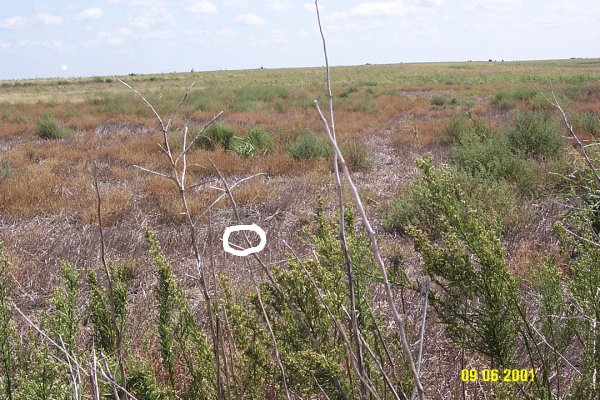 Looking at the confluence from the west.