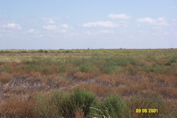 From confluence looking East.