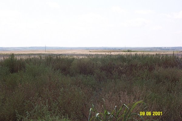 From confluence looking South.