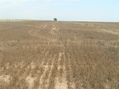 #2: View to the north from the confluence.