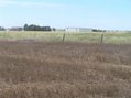 #5: View to the west from the confluence point.