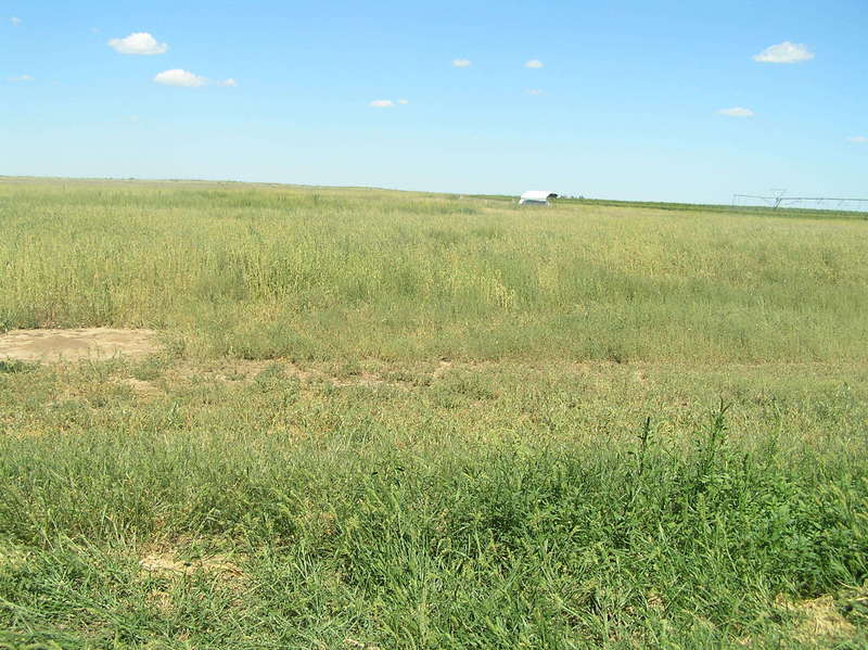 View to the north from the confluence point.