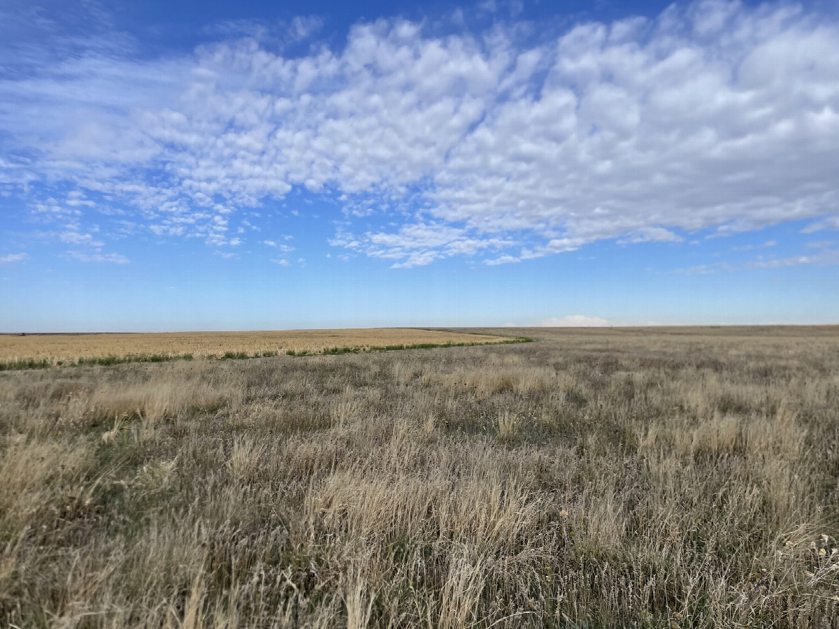 View to the south, confluence in the foreground