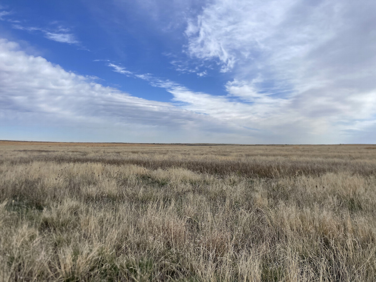 View to the north from the confluence