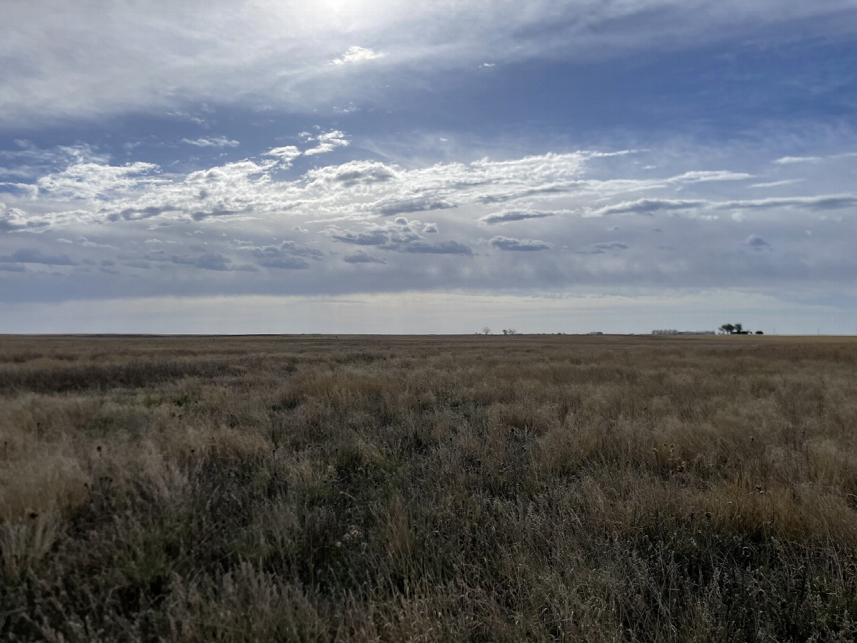 View to the east from the confluence