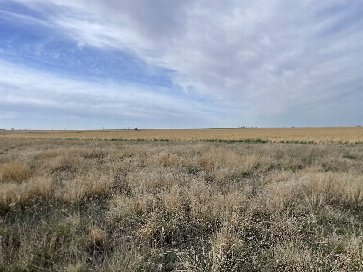 View to the south from the confluence