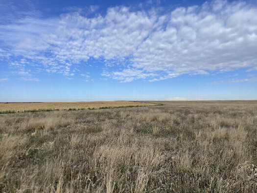 #1: View to the south, confluence in the foreground