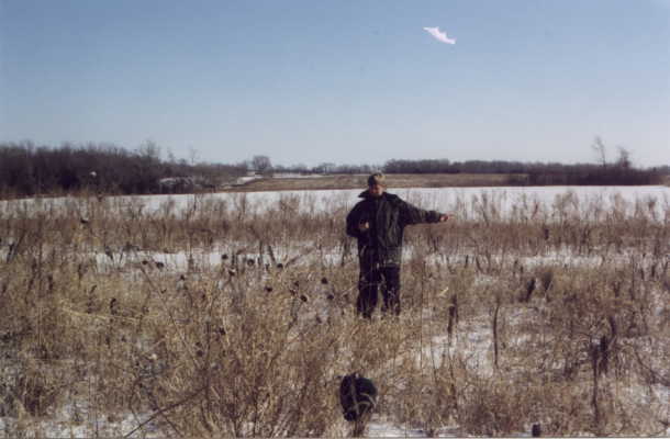 Looking East from confluence with Justin