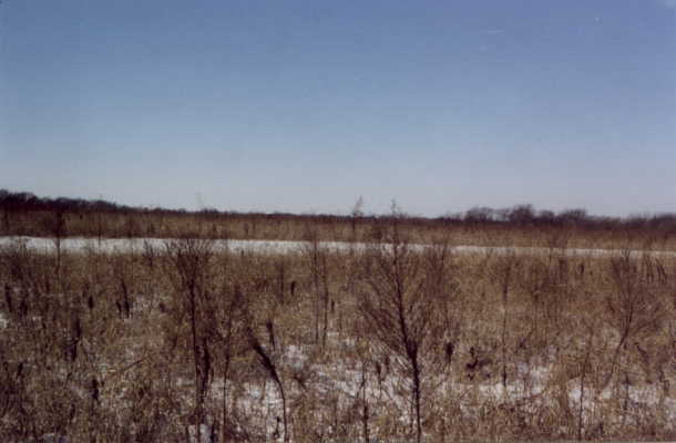 Looking West from confluence