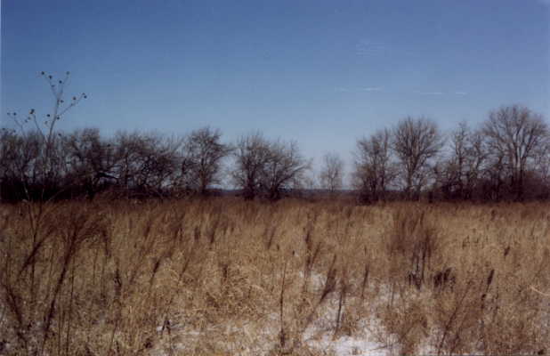 Looking North from confluence