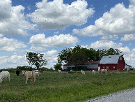 #10: A rural scene near the confluence point. 